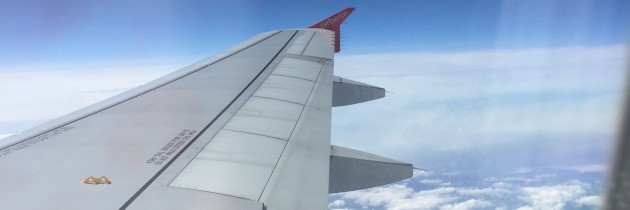 Friendly skies airplane wing